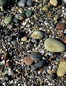 beach-pebbles